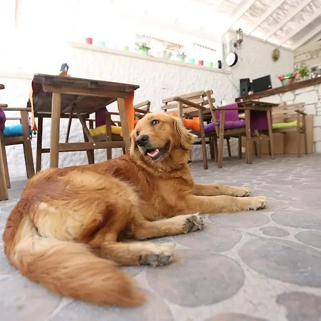 Bed & Breakfast Peroni Alacati