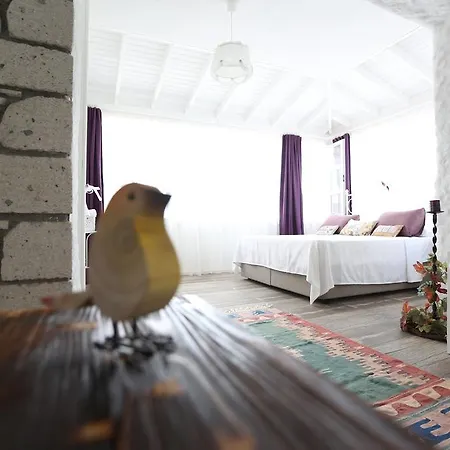 Peroni Bed & Breakfast 2*